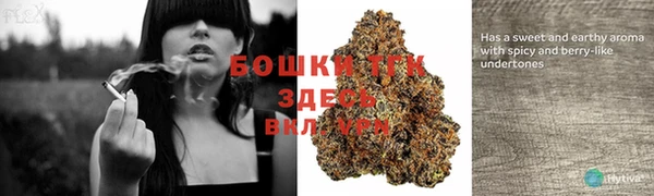ECSTASY Медногорск