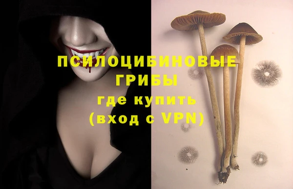 a pvp Мегион