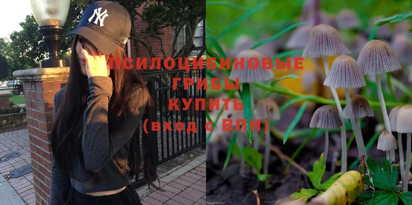 a pvp Мегион